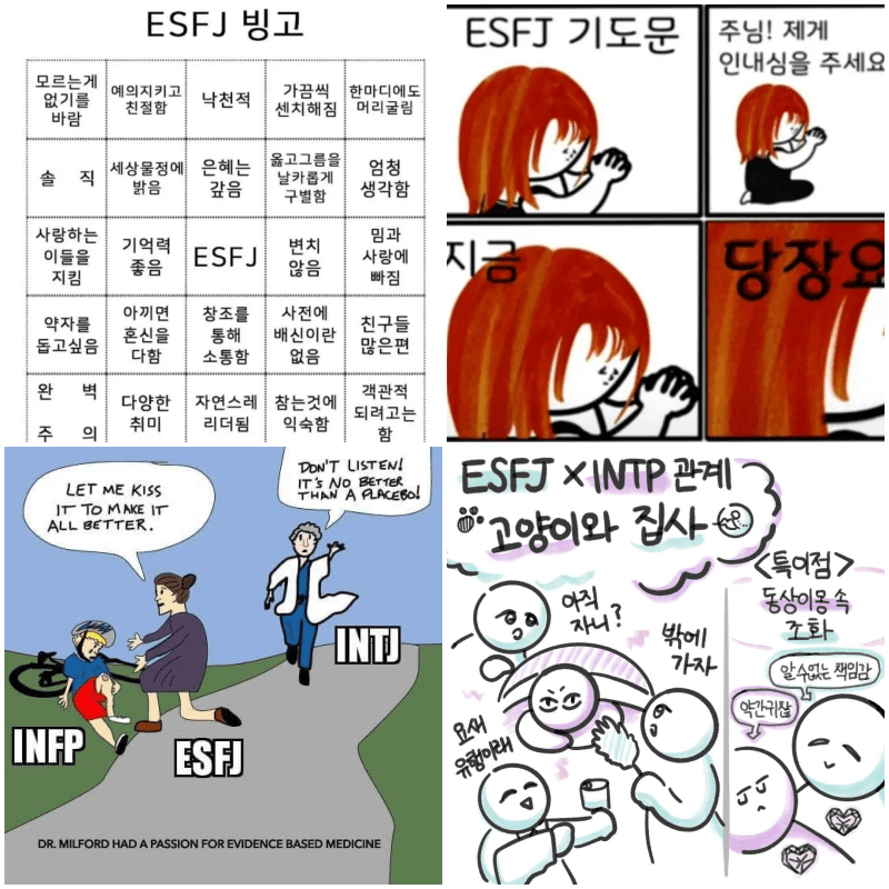 esfj 짤 4개