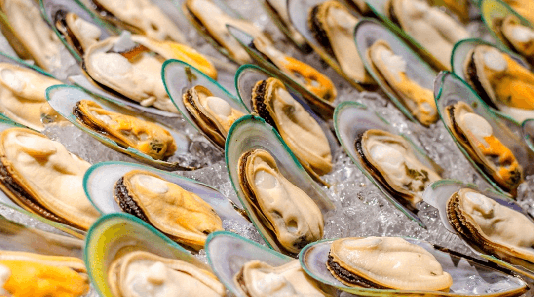 초록입-홍합-사진1