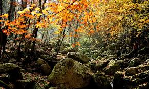 10월 아름다운 단풍산행지