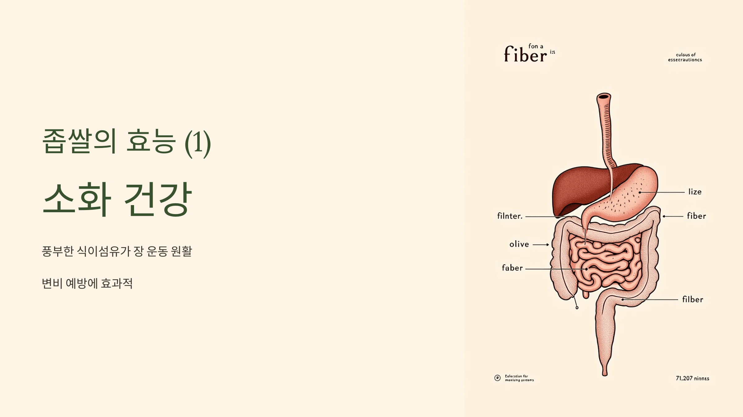 좁쌀 사진입니다.