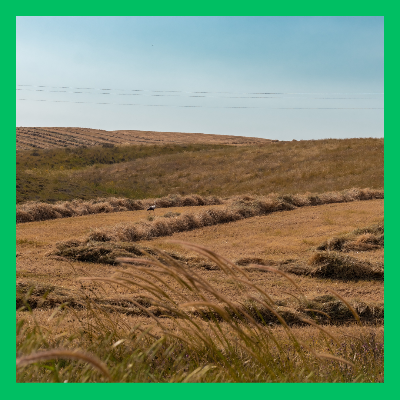 조상땅 찾기 조회