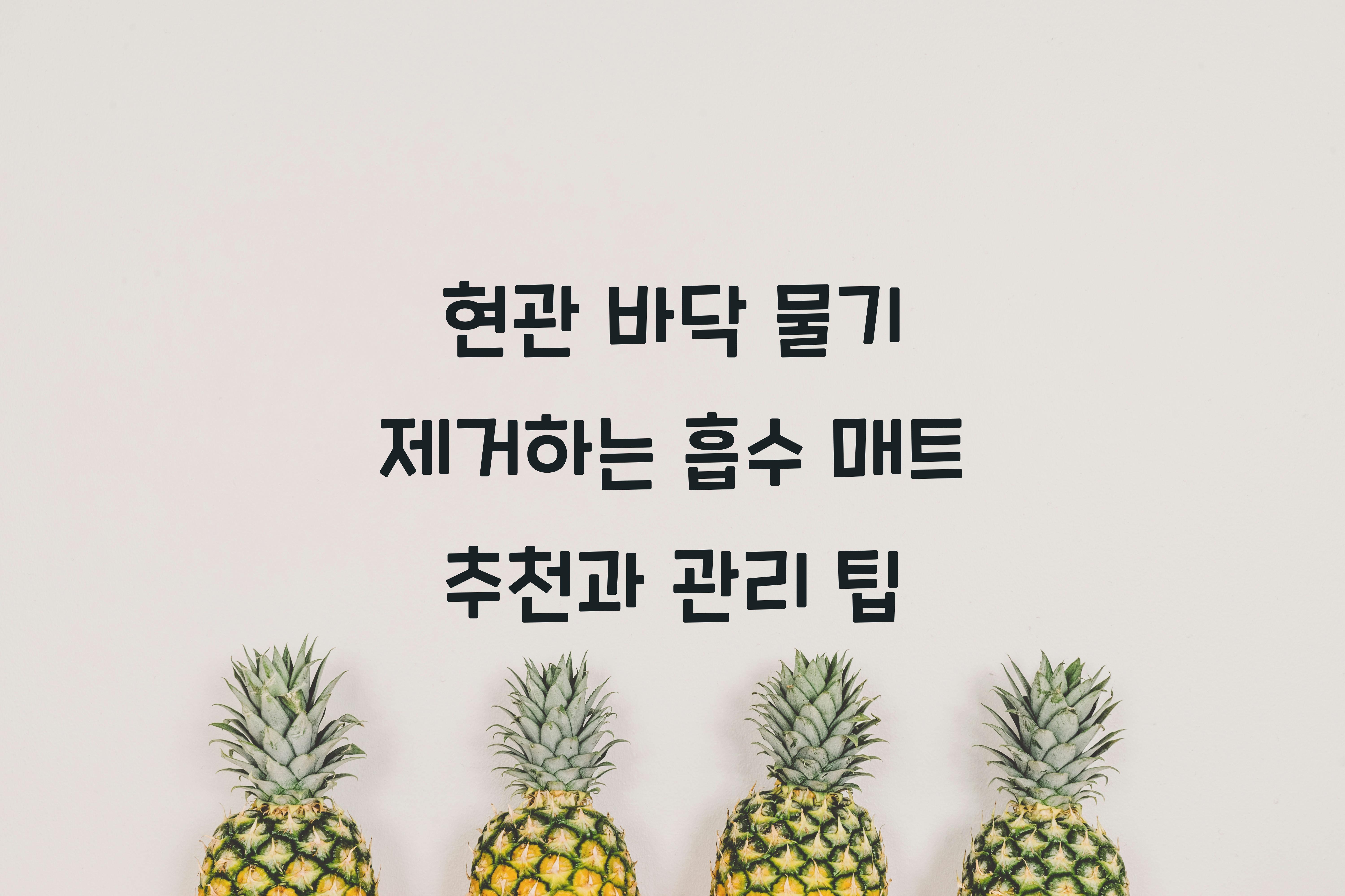 현관 바닥 물기 제거하는 흡수 매트 추천