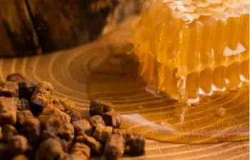 면역력 높이는 영양제 프로폴리스 효능 및 부작용