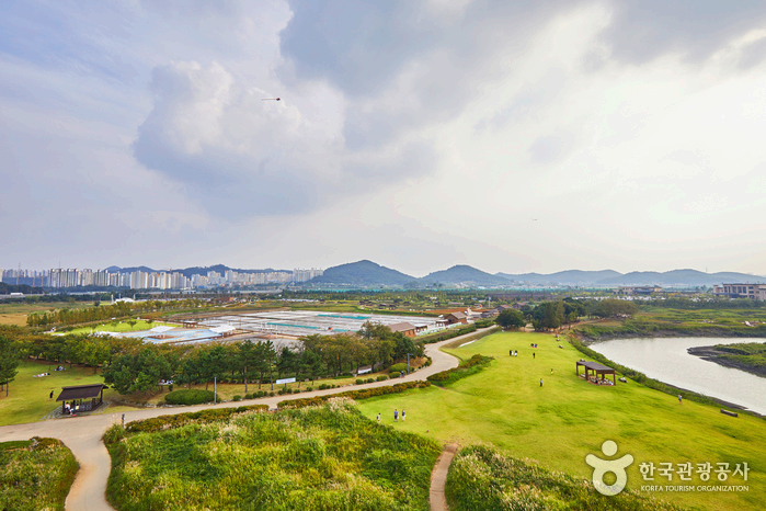 생태공원