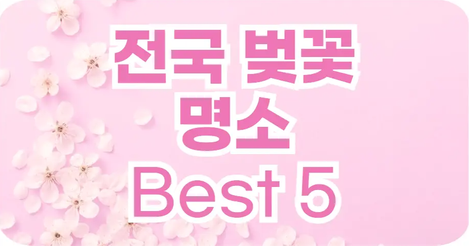 벚꽃이 피는 시기 2025년 최신 정리! 지역별 개화 시기 & 명소 추천