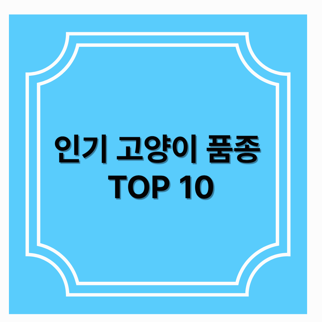 인기 고양이 품종 TOP10