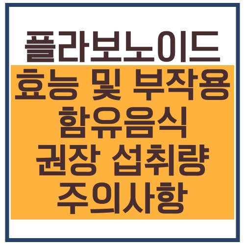 플라보노이드 효능 및 부작용_음식 권장 섭취량 주의사항