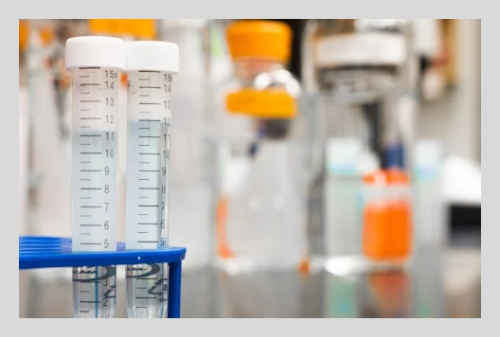 간경화 말기증세: 생존 기간과 관리법 총정리!