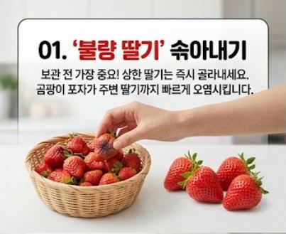 딸기보관방법
