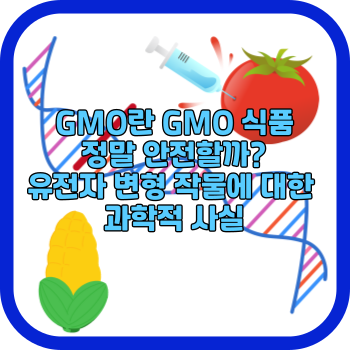 GMO란 GMO 식품 정말 안전할까? 유전자 변형 작물에 대한 과학적 사실