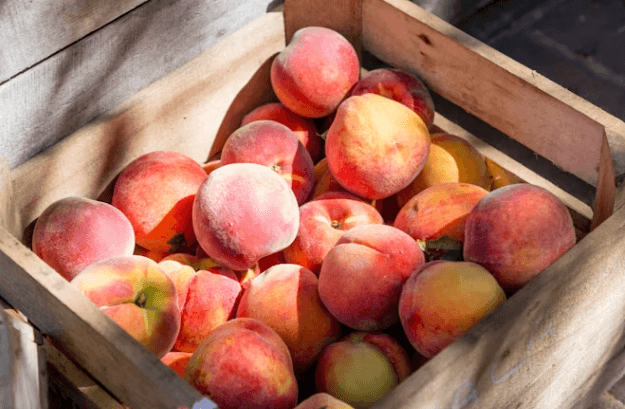 복숭아&amp;#44; 건강하게 즐기는 팁