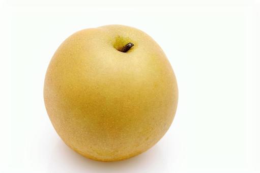 배