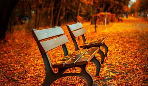 [계절성 우울증] 남자들이 가을에 우울해지는 이유 - 가을타는 남자 증상