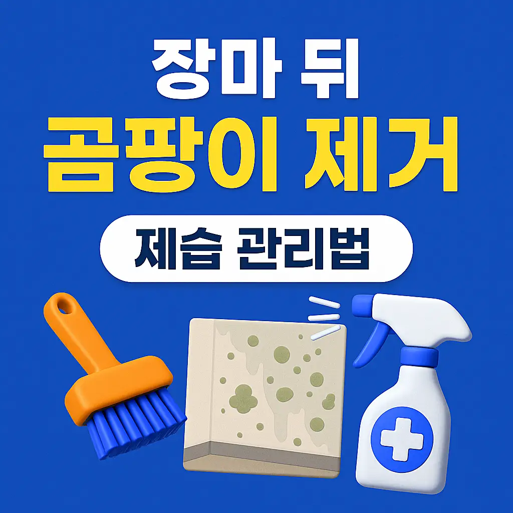 벽지 곰팡이 제거 모습