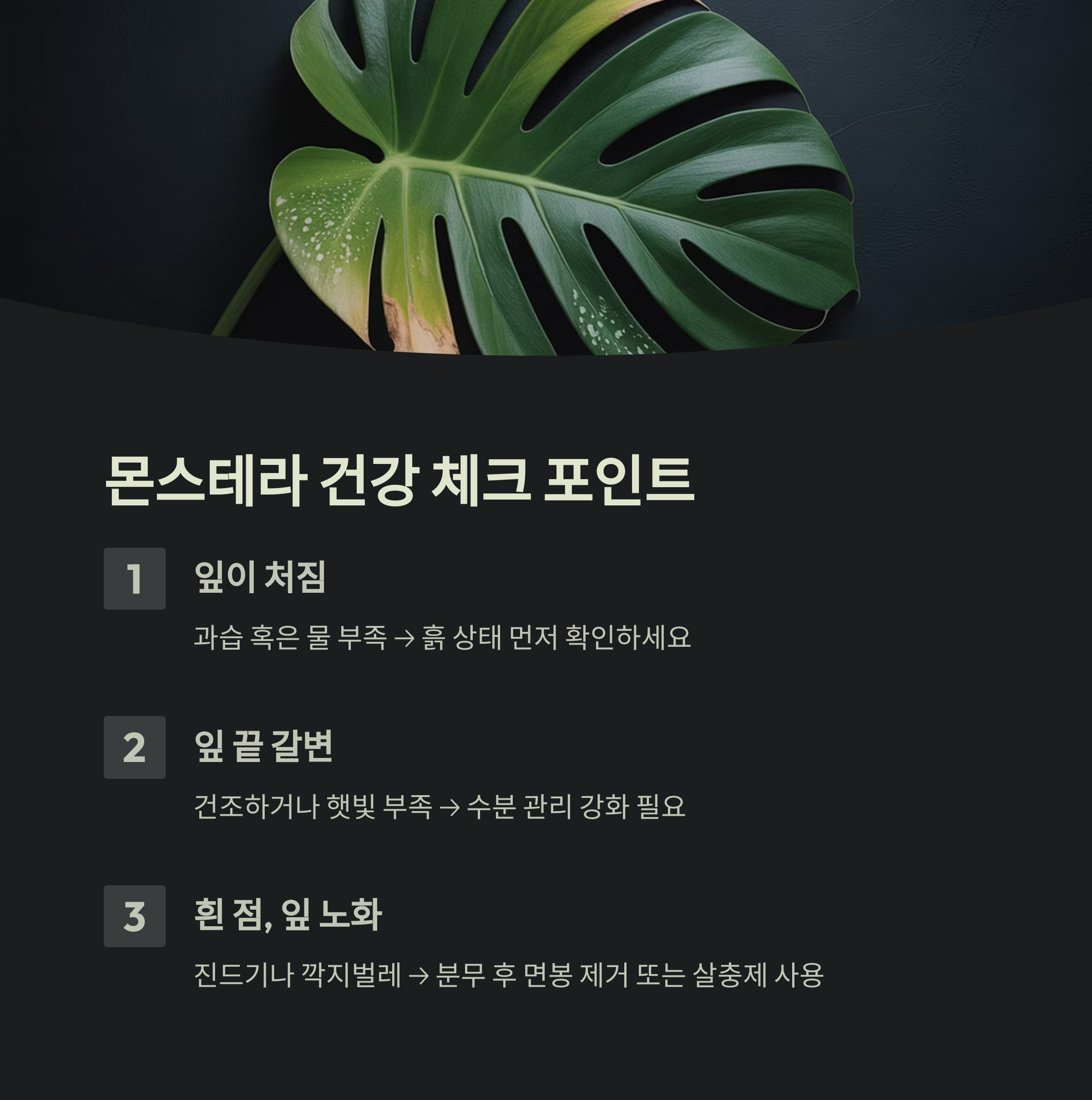 잎이 처지거나 갈라질 땐 이렇게 확인하세요