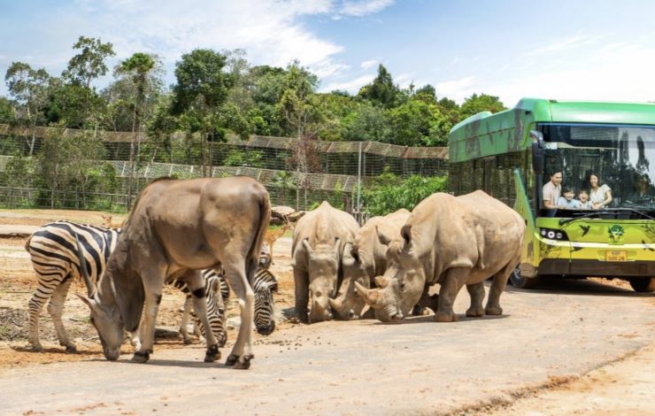푸꾸옥-가볼만한곳