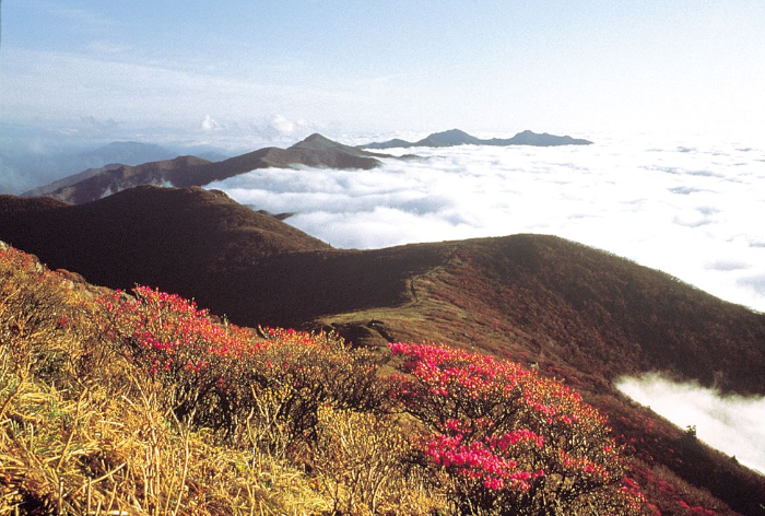 덕유산 정상에서 바라본 운해