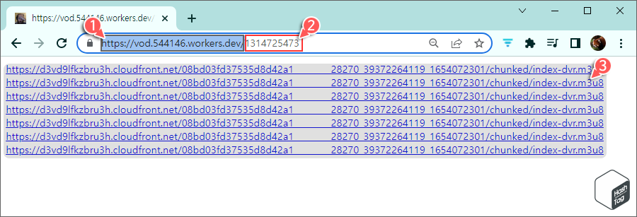 vod.544146.workers.dev/비디오번호