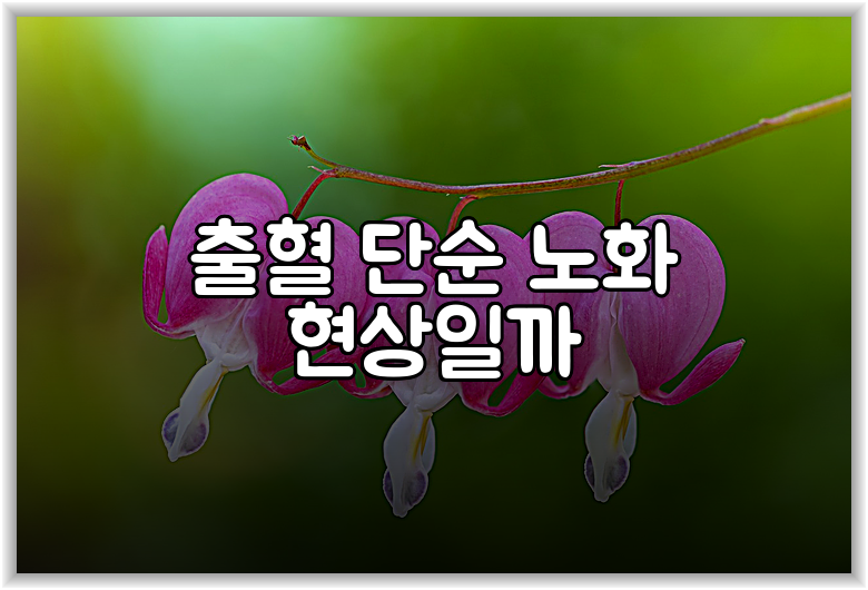 출혈 단순 노화 현상일까