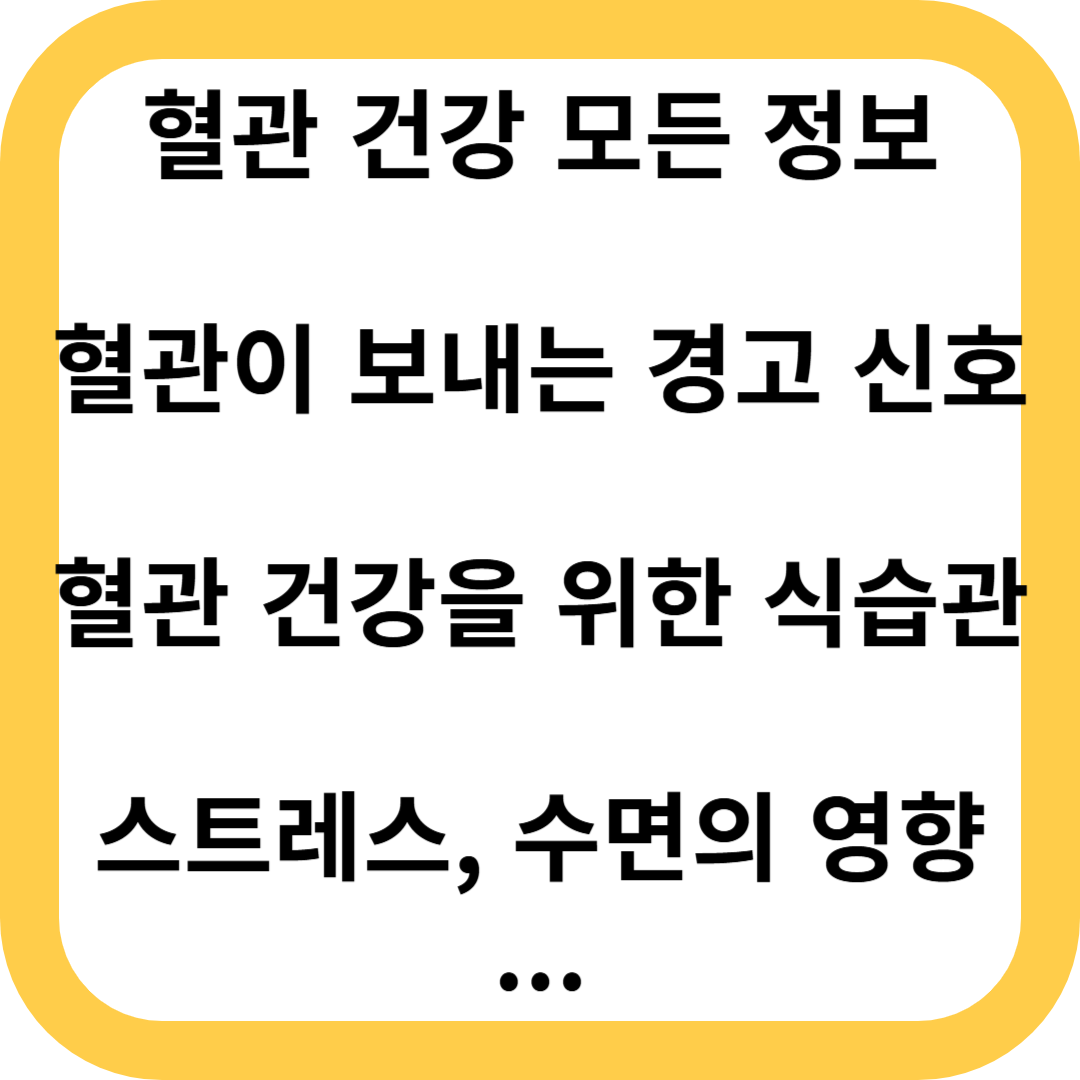 혈관 건강