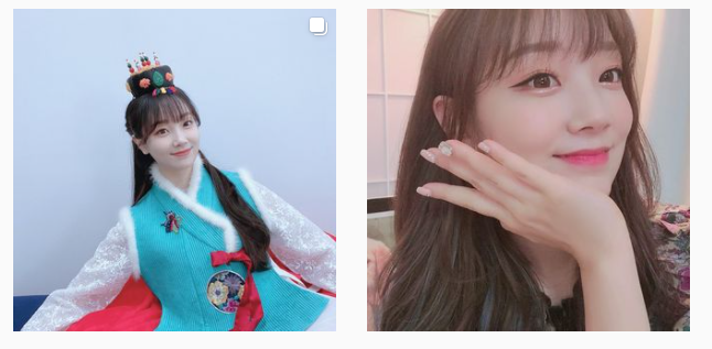 BJ파이 프로필