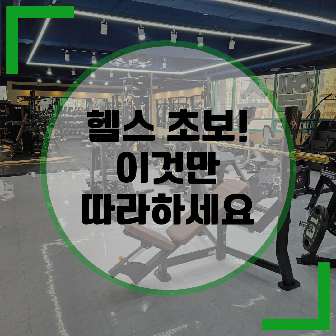 헬스 초보 루틴