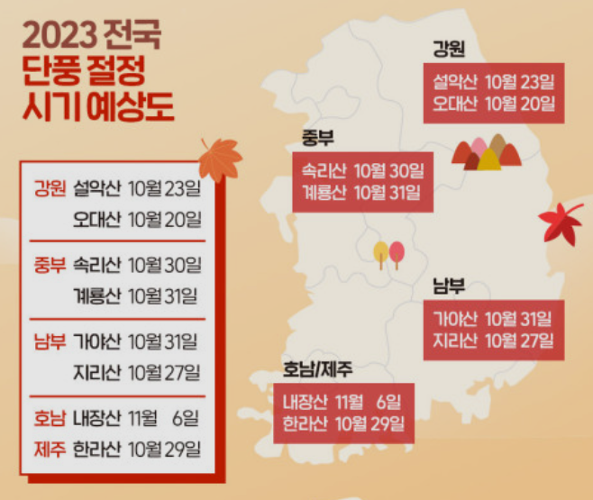 2023 단풍