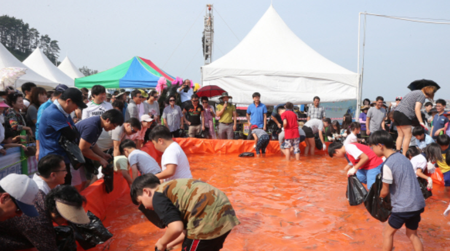 서천 홍원항 전어,꽃게 축제