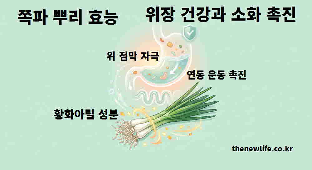 쪽파 뿌리 효능 위장 건강 소화 촉진
