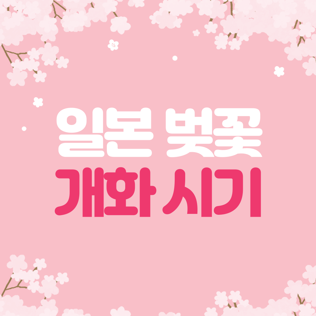 일본 벚꽃 개화 시기 일본 벚꽃 명소 확인