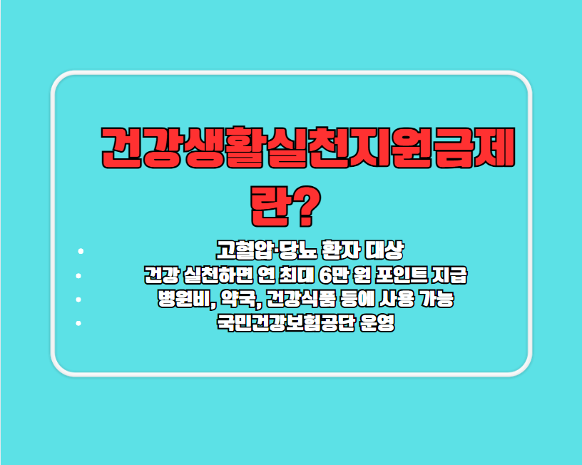 건강생활실천지원금제