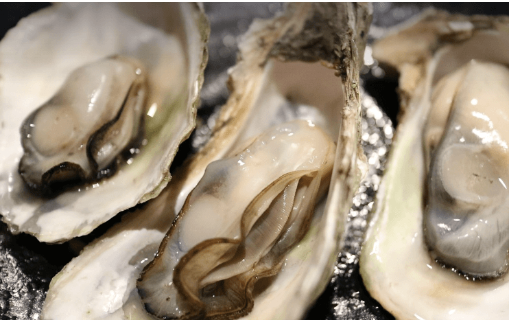 탈모에 좋은음식