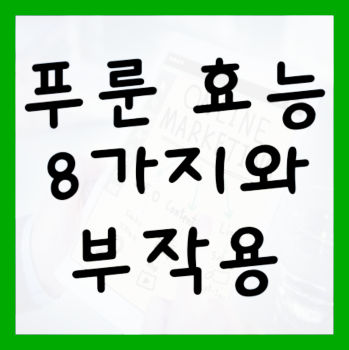 푸룬-효능-및-부작용-대표-사진