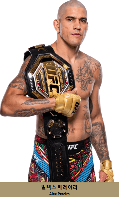 UFC 체급별 챔피언