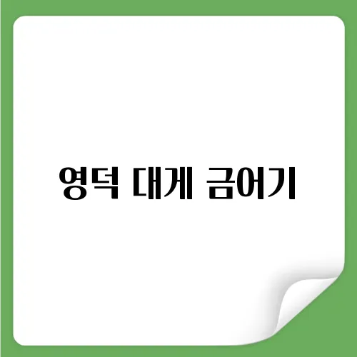 영덕 대게 금어기