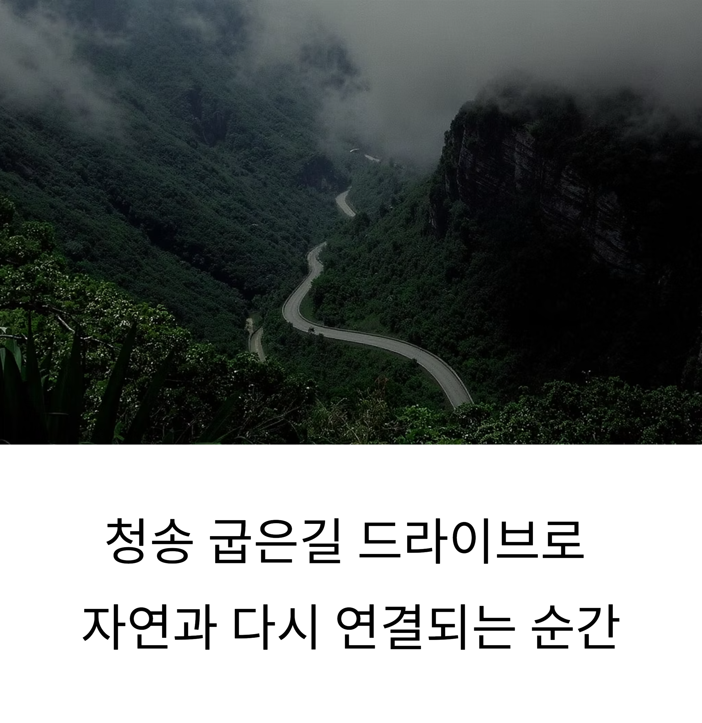 청송 굽은길 드라이브