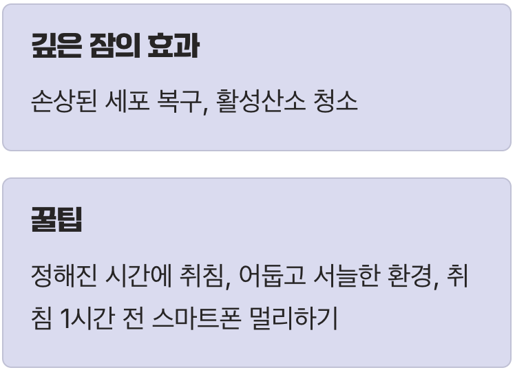 5. 최고의 항산화제, '꿀잠'이라는 명약