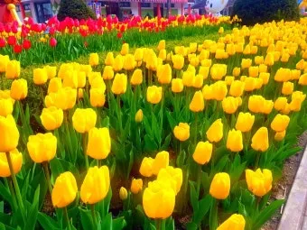 주민등록증 발급일자 오류 확인 방법 정리_27