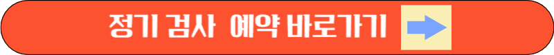 2025년 달라지는 이륜차 정기 검사, 과태료