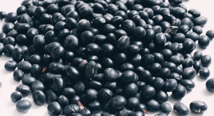 검은콩 효능, 검은콩
