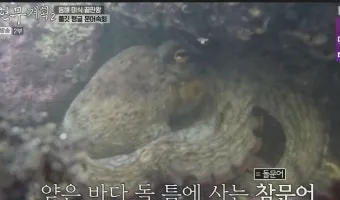 전현무계획2 문어숙회 수제비 골뱅이 맛집 위치 안내_20