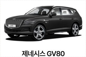 액티언 가격