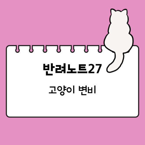 고양이 변비
