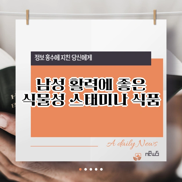 남성 스태미너 음식