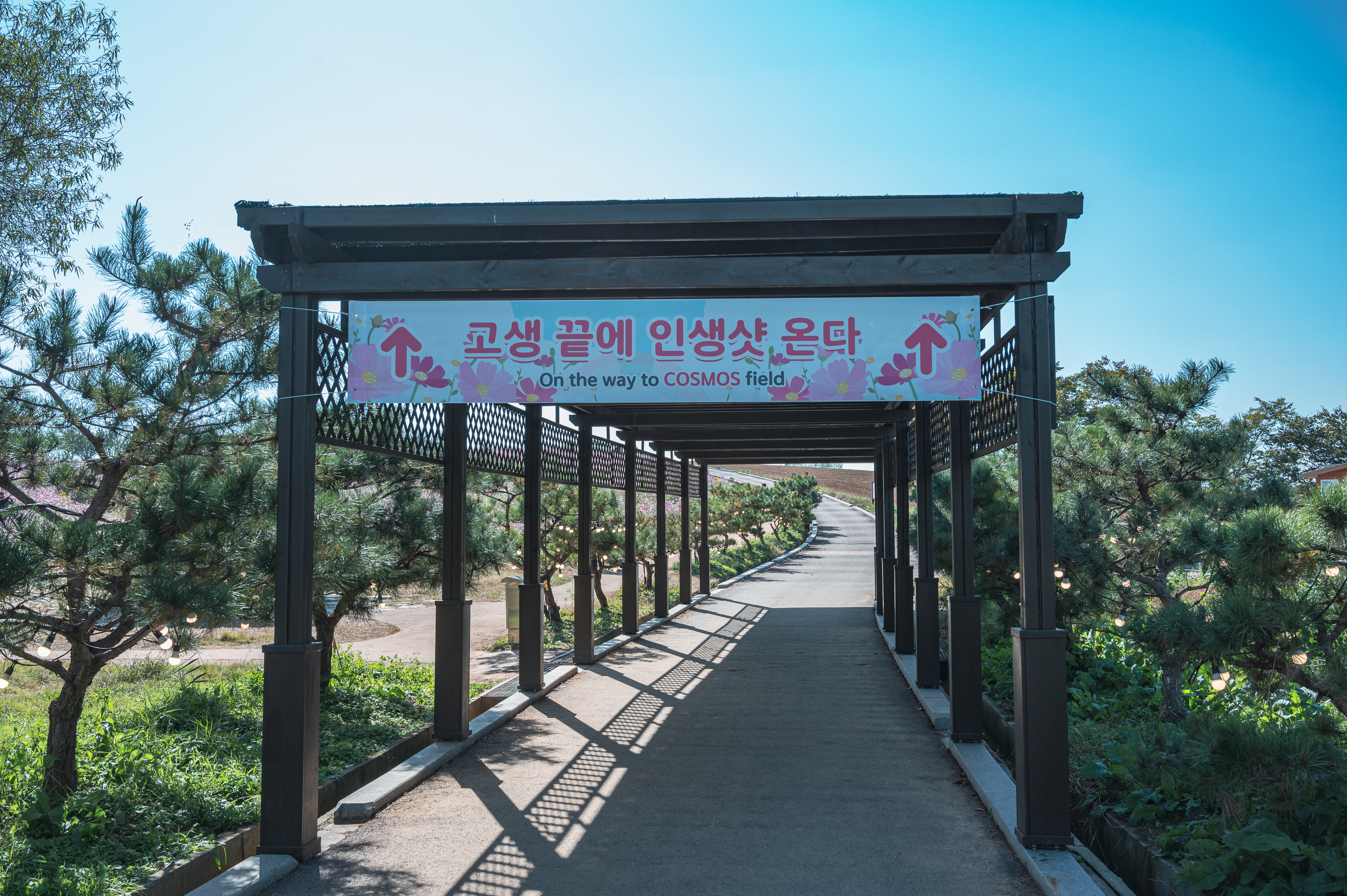 안성팜랜드