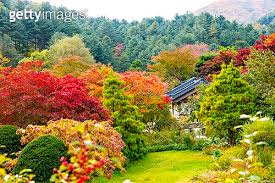 κ°ν μμΉ¨κ³ μμλͺ©μ