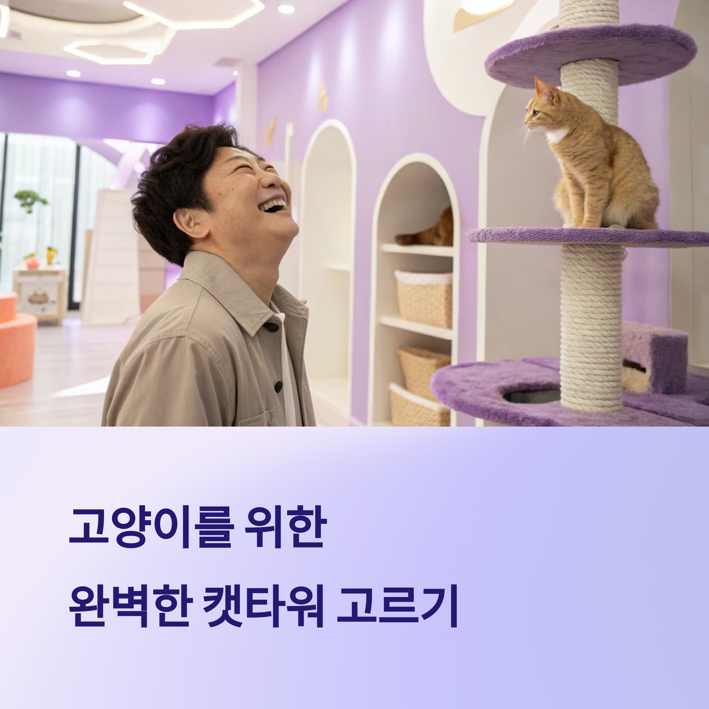 고양이를 위한 캣타워 선택 기준 7가지