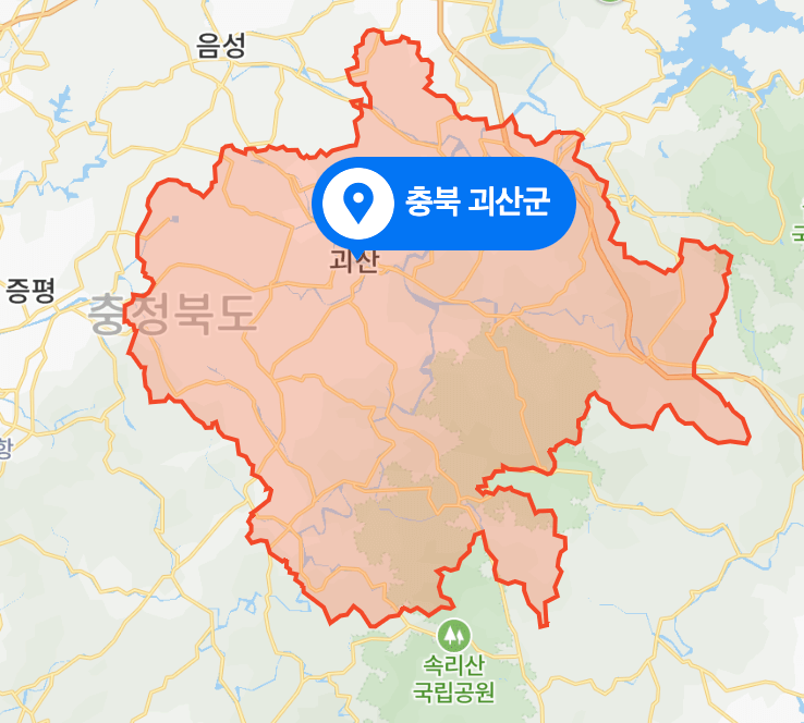 절임배추 20kg 몇포기 해남절임배추 괴산절임배추 고랭지절임배추 특징 가격