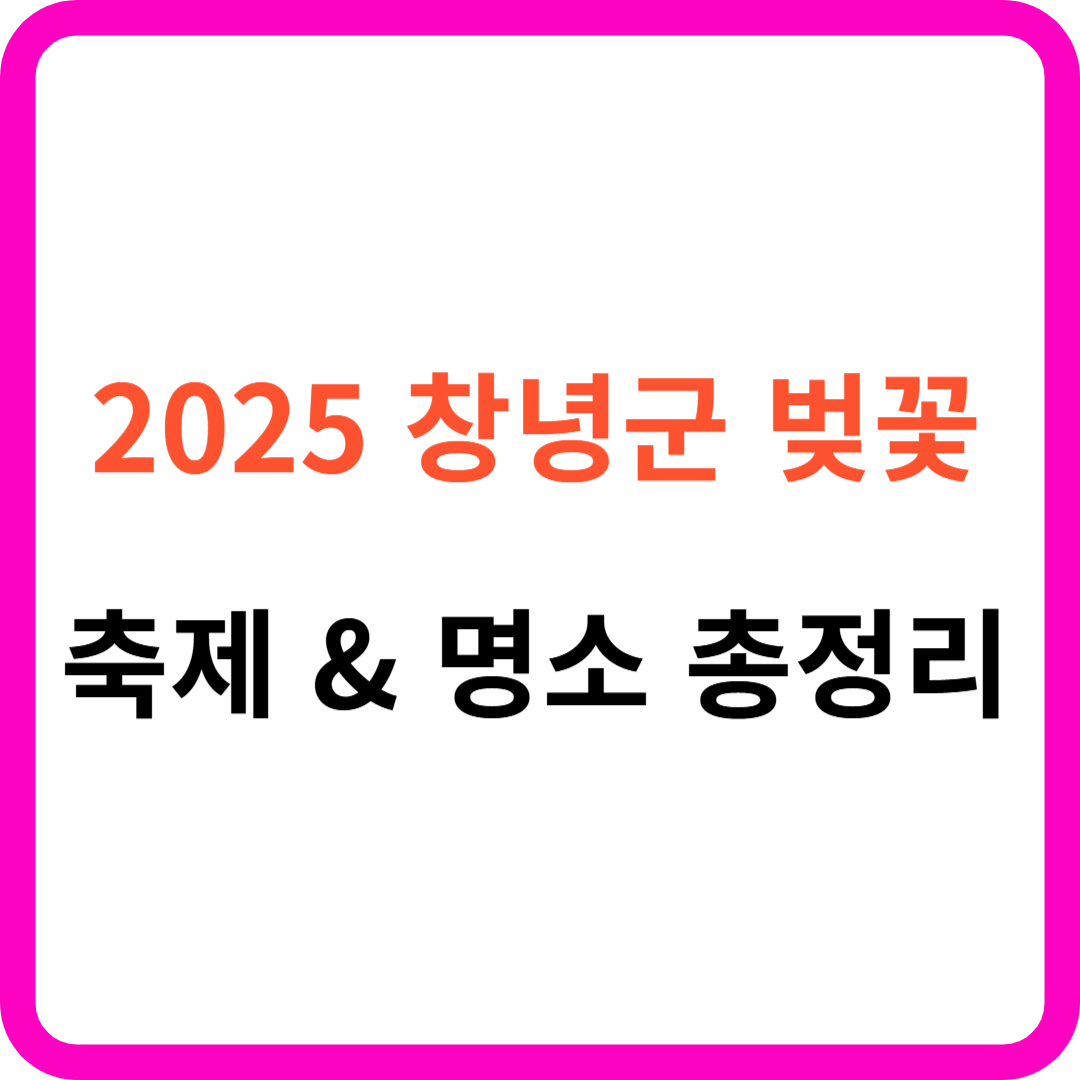 2025년 창녕군 벚꽃 명소 &amp; 축제 &amp; 드라이브코스 총정리