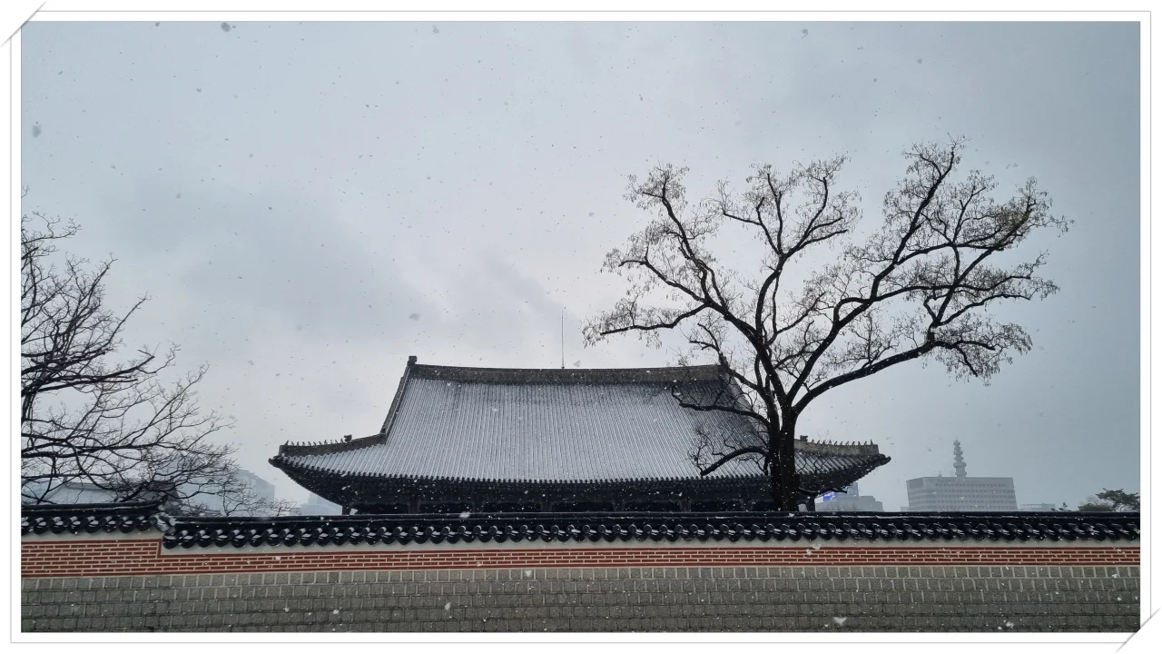 경복궁 기와 그리고 담